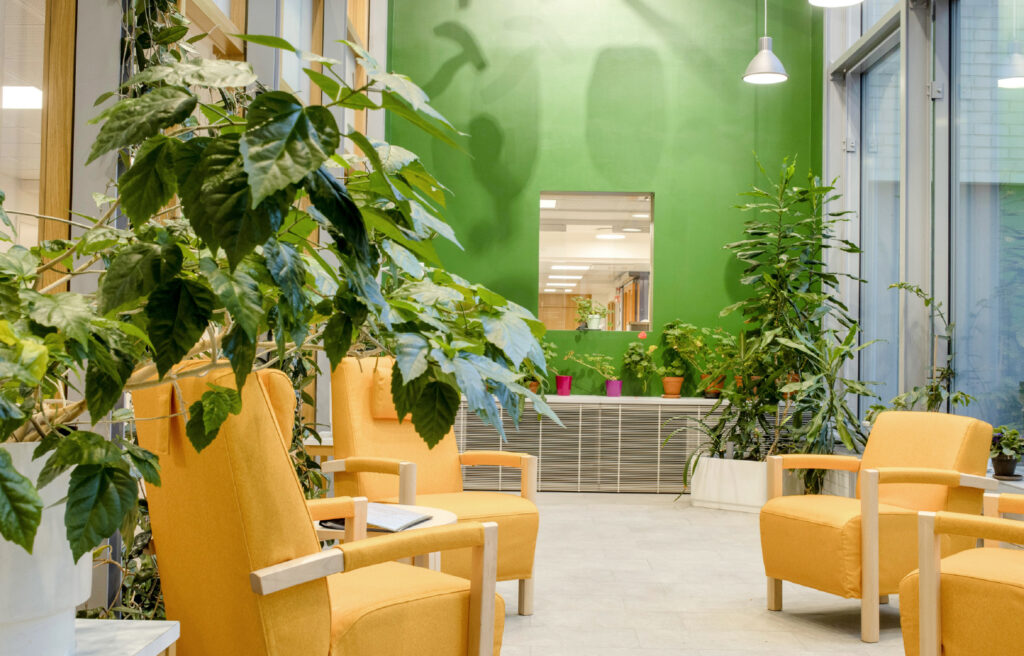 Oleskelutila, jossa on värikäs sisustus ja viherkasveja.
