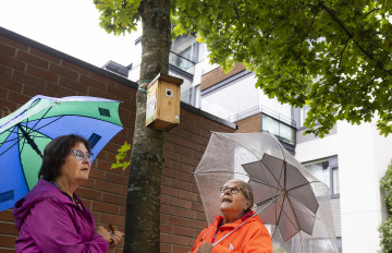 Kaksi naista, joilla on sateenvarjot, seisovat puun alla. Puussa on linnunpönttö.