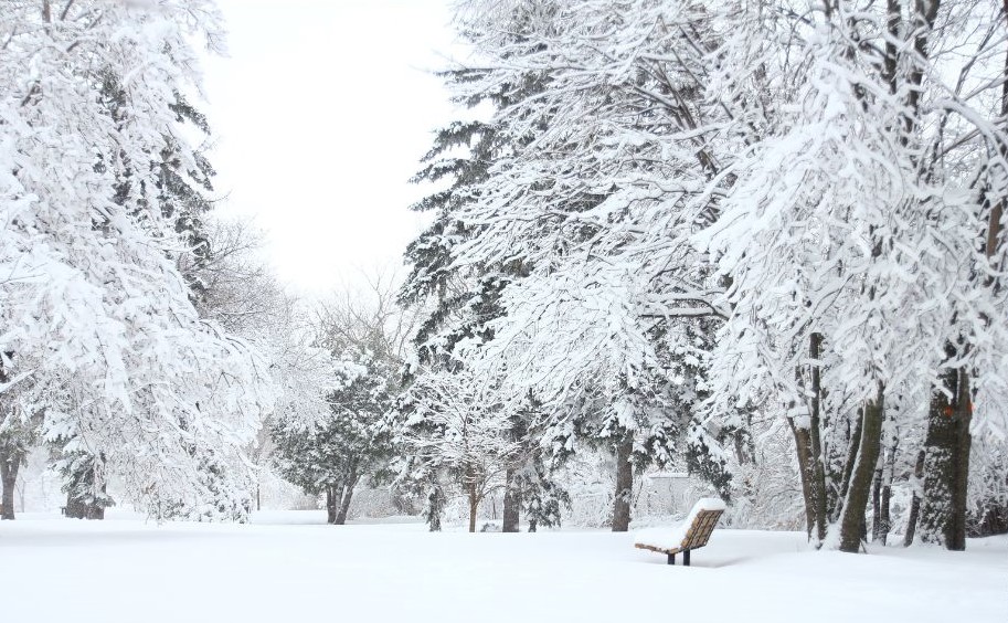 Luminen puisto, jossa puita ja ja penkki ja paljon lunta.